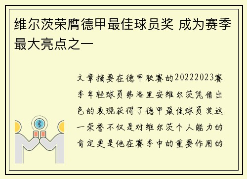 维尔茨荣膺德甲最佳球员奖 成为赛季最大亮点之一